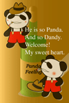 DANDY PANDY